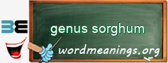 WordMeaning blackboard for genus sorghum